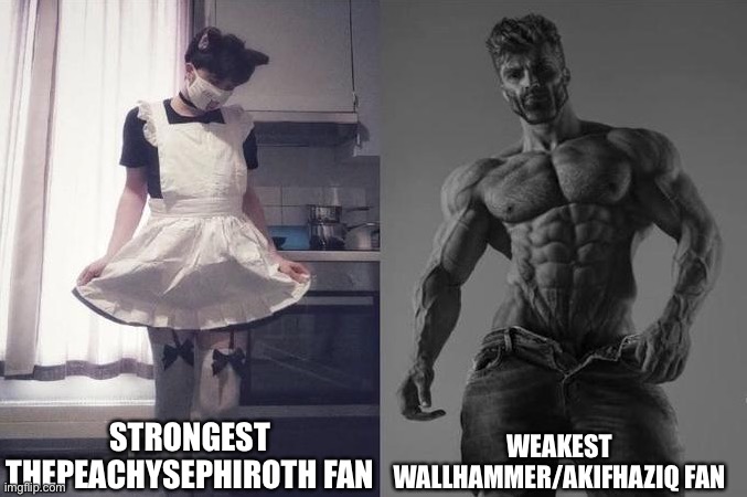 Strongest Fan VS Weakest Fan | WEAKEST WALLHAMMER/AKIFHAZIQ FAN; STRONGEST THEPEACHYSEPHIROTH FAN | image tagged in strongest fan vs weakest fan | made w/ Imgflip meme maker
