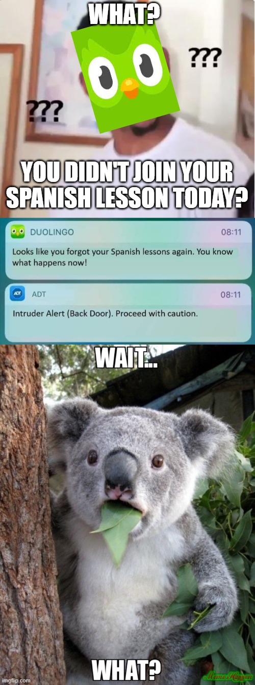 HUH? wait what? | WHAT? YOU DIDN'T JOIN YOUR SPANISH LESSON TODAY? | image tagged in huh,wait what,duolingo | made w/ Imgflip meme maker