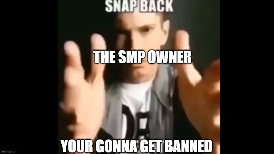 Snap Back To Reality | YOUR GONNA GET BANNED THE SMP OWNER | image tagged in snap back to reality | made w/ Imgflip meme maker