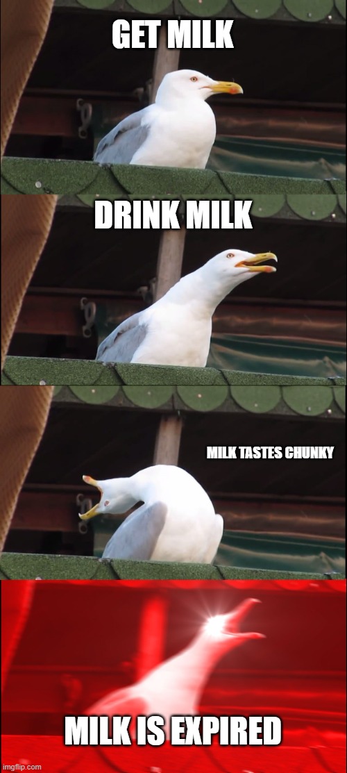 expired milk | GET MILK; DRINK MILK; MILK TASTES CHUNKY; MILK IS EXPIRED | image tagged in memes,inhaling seagull | made w/ Imgflip meme maker