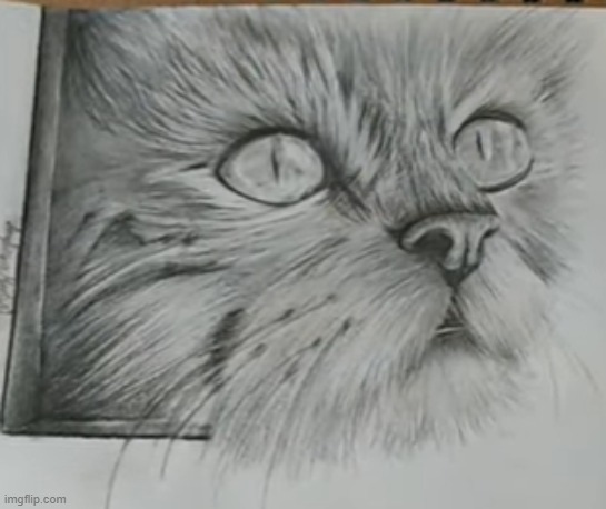 3D realistic Cat drawing I made! My most realistic drawing so far! :D | image tagged in cat,drawing,realistic,3d | made w/ Imgflip meme maker