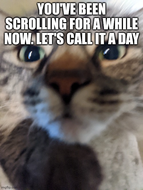 Go to bed | YOU'VE BEEN SCROLLING FOR A WHILE NOW. LET'S CALL IT A DAY | image tagged in haha dad go brr | made w/ Imgflip meme maker