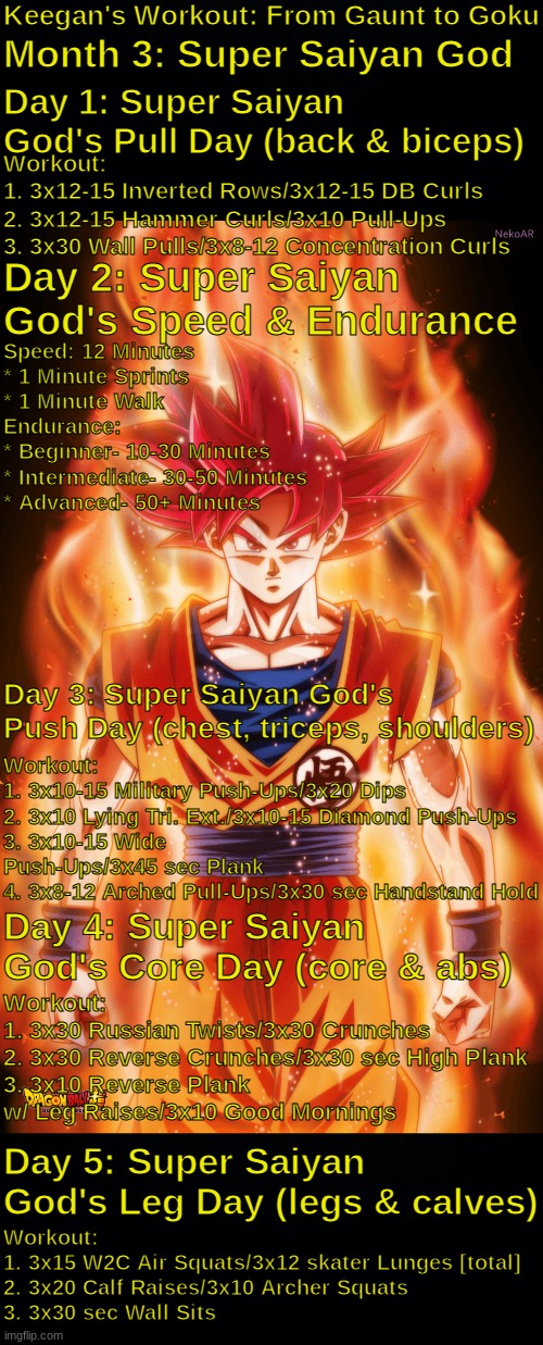 Super Saiyan God Workout: 0% FAT |  Keegan's Workout: From Gaunt to Goku; Month 3: Super Saiyan God; Day 1: Super Saiyan God's Pull Day (back & biceps); Workout:
1. 3x12-15 Inverted Rows/3x12-15 DB Curls
2. 3x12-15 Hammer Curls/3x10 Pull-Ups
3. 3x30 Wall Pulls/3x8-12 Concentration Curls; Day 2: Super Saiyan God's Speed & Endurance; Speed: 12 Minutes
* 1 Minute Sprints
* 1 Minute Walk
Endurance:
* Beginner- 10-30 Minutes
* Intermediate- 30-50 Minutes
* Advanced- 50+ Minutes; Day 3: Super Saiyan God's Push Day (chest, triceps, shoulders); Workout:
1. 3x10-15 Military Push-Ups/3x20 Dips
2. 3x10 Lying Tri. Ext./3x10-15 Diamond Push-Ups
3. 3x10-15 Wide Push-Ups/3x45 sec Plank
4. 3x8-12 Arched Pull-Ups/3x30 sec Handstand Hold; Day 4: Super Saiyan God's Core Day (core & abs); Workout:
1. 3x30 Russian Twists/3x30 Crunches
2. 3x30 Reverse Crunches/3x30 sec High Plank
3. 3x10 Reverse Plank w/ Leg Raises/3x10 Good Mornings; Day 5: Super Saiyan God's Leg Day (legs & calves); Workout:
1. 3x15 W2C Air Squats/3x12 skater Lunges [total]
2. 3x20 Calf Raises/3x10 Archer Squats
3. 3x30 sec Wall Sits | image tagged in super saiyan god,god ki,workout,no excuses,strongest saiyan,lean and cut | made w/ Imgflip meme maker