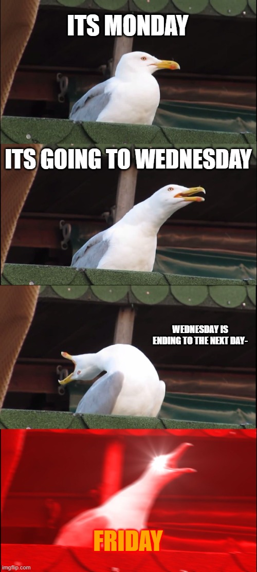 waiting | ITS MONDAY; ITS GOING TO WEDNESDAY; WEDNESDAY IS ENDING TO THE NEXT DAY-; FRIDAY | image tagged in memes,inhaling seagull,friday | made w/ Imgflip meme maker