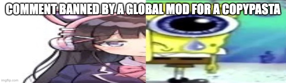 lol | COMMENT BANNED BY A GLOBAL MOD FOR A COPYPASTA | image tagged in lol | made w/ Imgflip meme maker