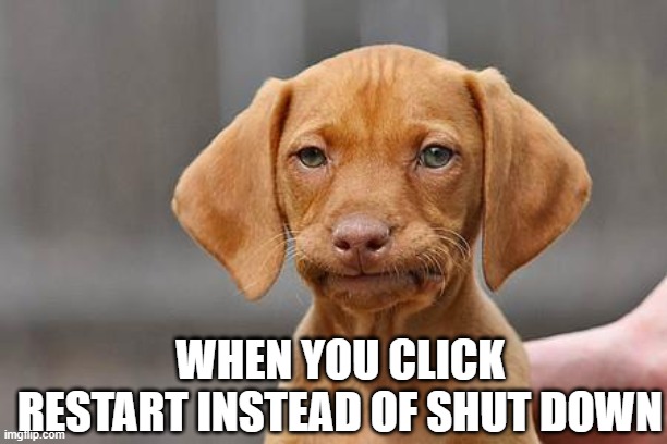 T_T | WHEN YOU CLICK RESTART INSTEAD OF SHUT DOWN | image tagged in dissapointed puppy | made w/ Imgflip meme maker