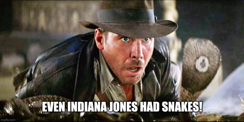Indiana Jones Snakes |  EVEN INDIANA JONES HAD SNAKES! | image tagged in indiana jones snakes | made w/ Imgflip meme maker
