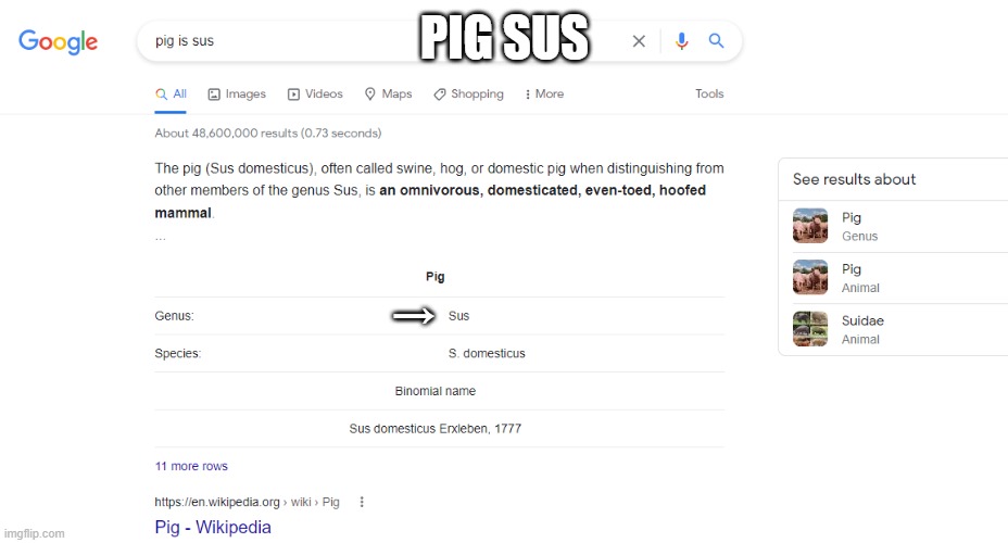 PIG SUS; → | image tagged in sus,amogus,memes | made w/ Imgflip meme maker