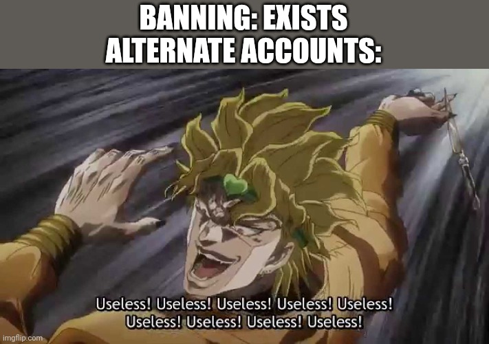 . | BANNING: EXISTS
ALTERNATE ACCOUNTS: | made w/ Imgflip meme maker
