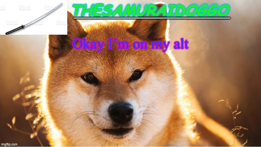 TheSamuraiDoggo's Temp (Thanks friend!) | Okay I’m on my alt | image tagged in thesamuraidoggo's temp thanks friend | made w/ Imgflip meme maker