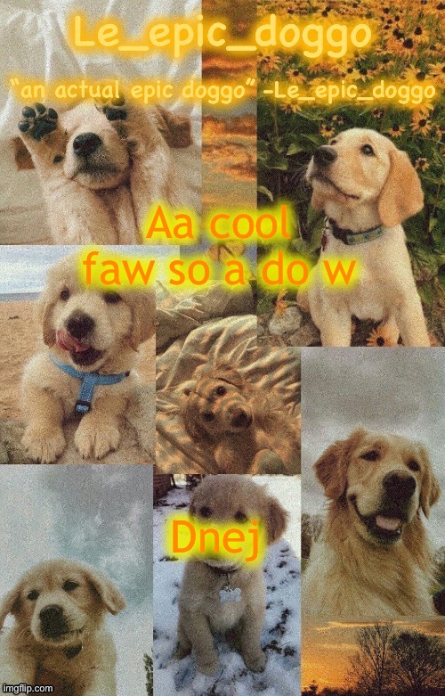 Doggo temp by doggo. Wait what that’s confusing | Aa cool faw so a do w; Dnej | image tagged in doggo temp by doggo wait what that s confusing | made w/ Imgflip meme maker
