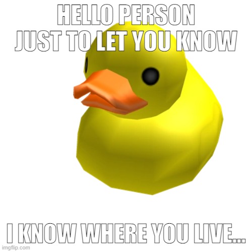 ducky funny | HELLO PERSON JUST TO LET YOU KNOW; I KNOW WHERE YOU LIVE... | image tagged in memes | made w/ Imgflip meme maker