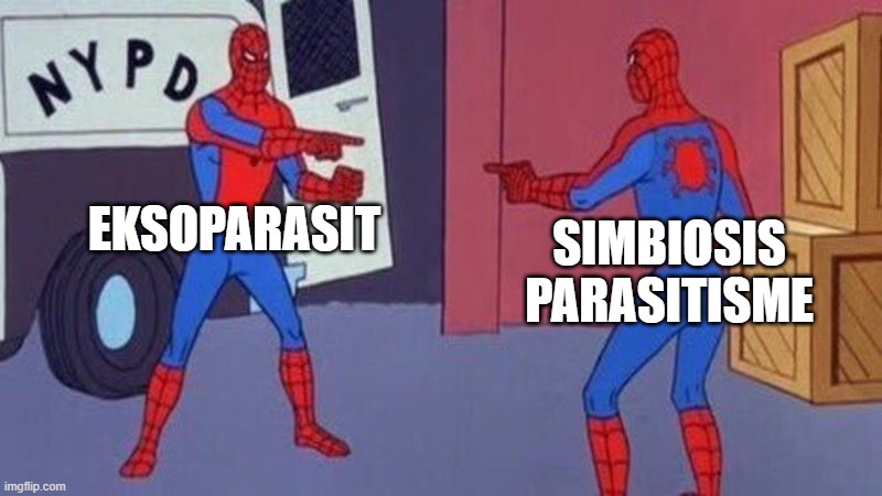 Parasite | EKSOPARASIT; SIMBIOSIS PARASITISME | image tagged in spiderman pointing at spiderman,biology,science | made w/ Imgflip meme maker