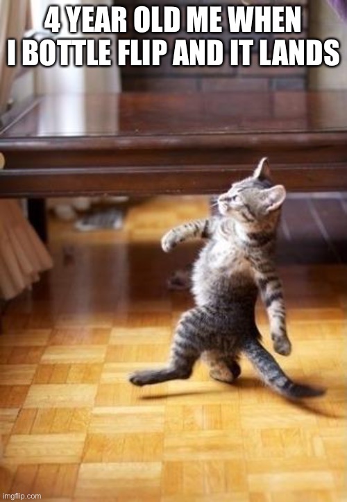 Cool Cat Stroll Meme | 4 YEAR OLD ME WHEN I BOTTLE FLIP AND IT LANDS | image tagged in memes,cool cat stroll | made w/ Imgflip meme maker