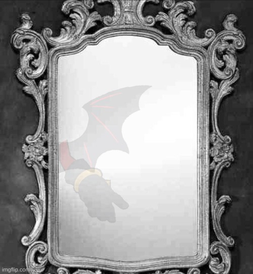 oc teaser | image tagged in mirror | made w/ Imgflip meme maker