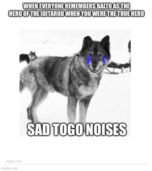 Had to screenshot my old one because I accidentally posted it in the fun stream | image tagged in blank white template,togo,balto,iditarod | made w/ Imgflip meme maker