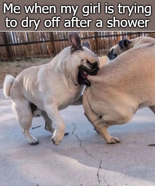 Me when my girl is trying to dry off after a shower | image tagged in shower | made w/ Imgflip meme maker