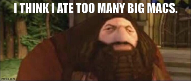 BIIIIIIIIIIIIIIIIIIIIIIIIIIIIIIIG | I THINK I ATE TOO MANY BIG MACS. | image tagged in funny memes | made w/ Imgflip meme maker