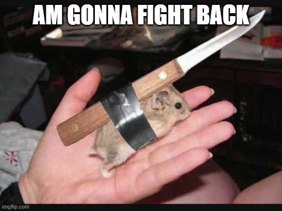AM GONNA FIGHT BACK | image tagged in lock and load hamster | made w/ Imgflip meme maker