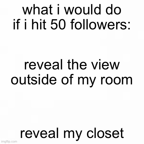 what i would do.. | what i would do if i hit 50 followers:; reveal the view outside of my room; reveal my closet | image tagged in blank,50,followers,reveal,closet,the view | made w/ Imgflip meme maker