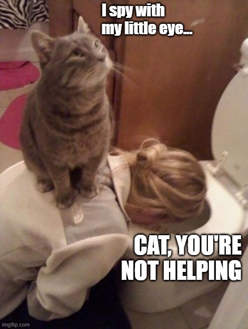 CAT, You're not helping | I spy with my little eye... CAT, YOU'RE NOT HELPING | image tagged in cat,girl,cute,vomit,toilet,puke | made w/ Imgflip meme maker