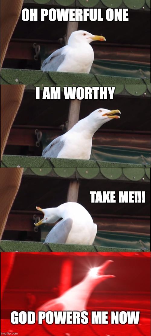 I AM GOD | OH POWERFUL ONE; I AM WORTHY; TAKE ME!!! GOD POWERS ME NOW | image tagged in memes,inhaling seagull | made w/ Imgflip meme maker