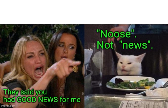 Rough Crowd ! | "Noose".
Not  "news". They said you had GOOD NEWS for me | image tagged in memes,woman yelling at cat | made w/ Imgflip meme maker