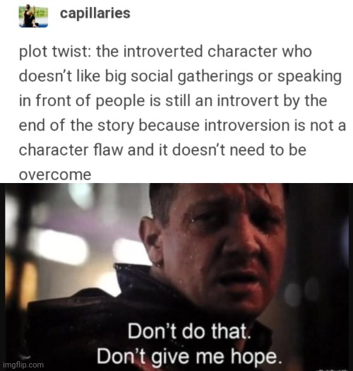 image tagged in hawkeye don t give me hope | made w/ Imgflip meme maker