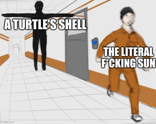Hmm yes reference | A TURTLE'S SHELL THE LITERAL F*CKING SUN | image tagged in scp tpose | made w/ Imgflip meme maker