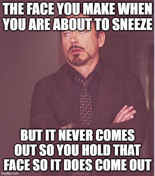 robert downey jr meme |  THE FACE YOU MAKE WHEN YOU ARE ABOUT TO SNEEZE; BUT IT NEVER COMES OUT SO YOU HOLD THAT FACE SO IT DOES COME OUT | image tagged in memes,face you make robert downey jr,the face you make,sneezing | made w/ Imgflip meme maker
