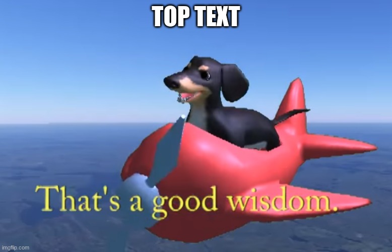That's a good wisdom. | TOP TEXT | image tagged in that's a good wisdom | made w/ Imgflip meme maker