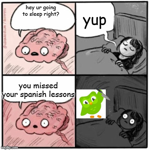 What happens if you miss your Spanish lessons | yup; hey ur going to sleep right? you missed your spanish lessons | image tagged in brain before sleep | made w/ Imgflip meme maker