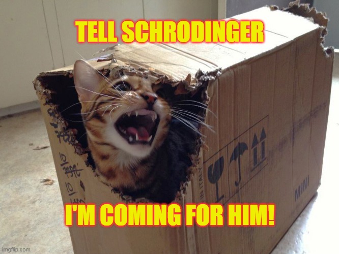 Schrodinger's screwed | TELL SCHRODINGER; I'M COMING FOR HIM! | image tagged in oh wow are you actually reading these tags | made w/ Imgflip meme maker