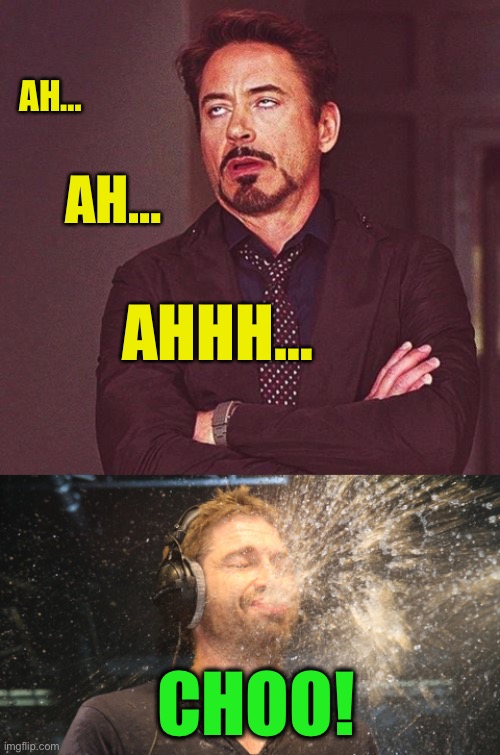 AH… CHOO! AH… AHHH… | image tagged in robert downey jr annoyed,laugh spit | made w/ Imgflip meme maker