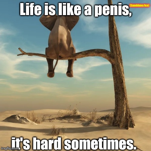Idk if it's nfsw | (Sanddune/Ice); Life is like a penis, it's hard sometimes. | image tagged in ponder | made w/ Imgflip meme maker