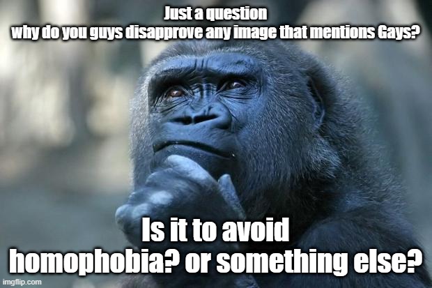 ? | Just a question
why do you guys disapprove any image that mentions Gays? Is it to avoid homophobia? or something else? | image tagged in deep thoughts | made w/ Imgflip meme maker