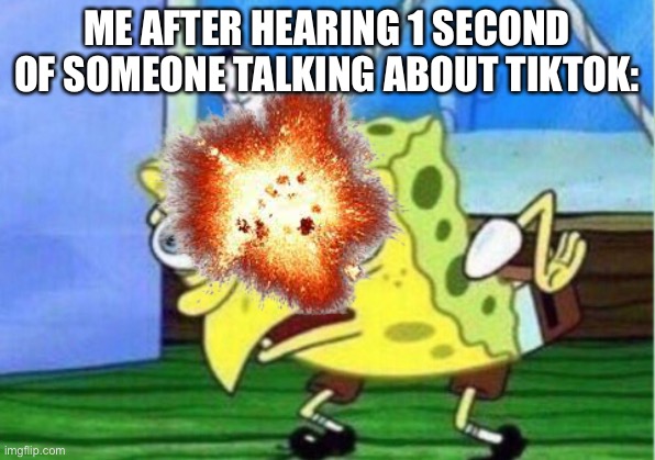 No | ME AFTER HEARING 1 SECOND OF SOMEONE TALKING ABOUT TIKTOK: | image tagged in tiktok,tiktok sucks,lol | made w/ Imgflip meme maker