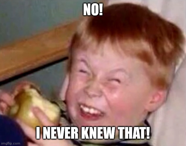 Sarcastic laughing kid | NO! I NEVER KNEW THAT! | image tagged in sarcastic laughing kid | made w/ Imgflip meme maker