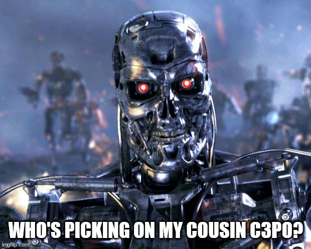 Terminator Robot T-800 | WHO'S PICKING ON MY COUSIN C3PO? | image tagged in terminator robot t-800 | made w/ Imgflip meme maker