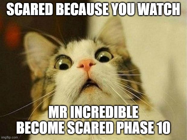 Scared cats watch mibsp10 | SCARED BECAUSE YOU WATCH; MR INCREDIBLE BECOME SCARED PHASE 10 | image tagged in memes,scared cat | made w/ Imgflip meme maker