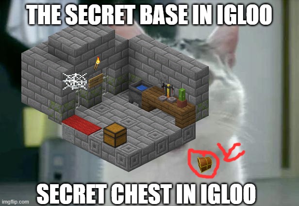 SCRETS IN CAT OMG | THE SECRET BASE IN IGLOO; SECRET CHEST IN IGLOO | image tagged in opps,cats | made w/ Imgflip meme maker