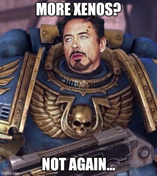 Robert Downey Face Warhammer 40k | MORE XENOS? NOT AGAIN... | image tagged in robert downey face warhammer 40k | made w/ Imgflip meme maker