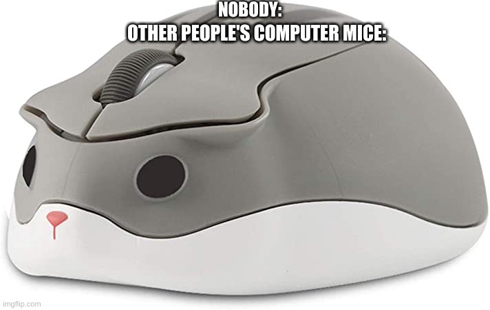 hamster as a computer mouse | NOBODY:; OTHER PEOPLE'S COMPUTER MICE: | image tagged in hamster as a computer mouse | made w/ Imgflip meme maker