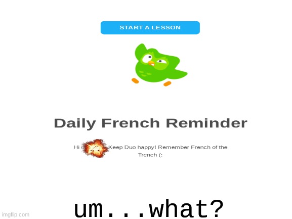 duo please, my computer died thats why | um...what? | image tagged in duolingo bird | made w/ Imgflip meme maker