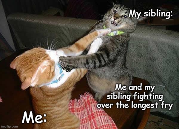 the longest fry | My sibling:; Me and my sibling fighting over the longest fry; Me: | image tagged in two cats fighting for real | made w/ Imgflip meme maker