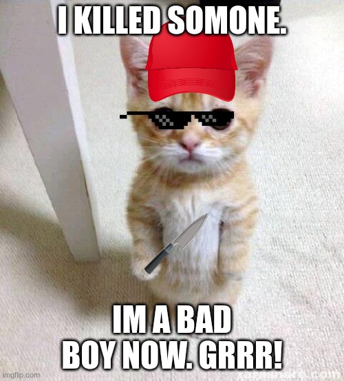 Cute murderer | I KILLED SOMONE. IM A BAD BOY NOW. GRRR! | image tagged in memes,cute cat | made w/ Imgflip meme maker