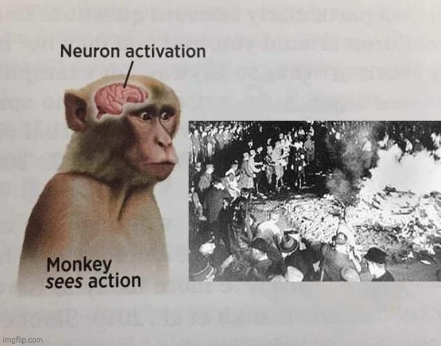 Monkey Sees Action | image tagged in shitpost status | made w/ Imgflip meme maker