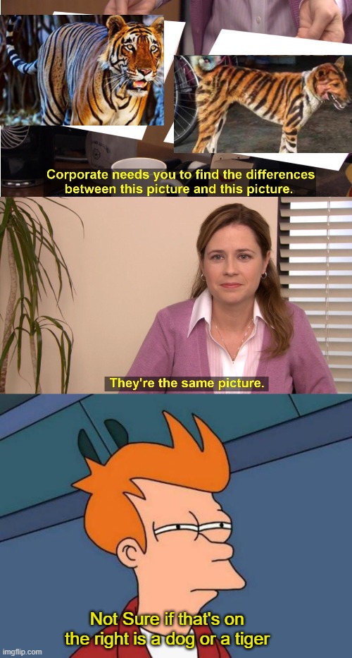 Not Sure if that's on the right is a dog or a tiger | image tagged in memes,they're the same picture,futurama fry | made w/ Imgflip meme maker