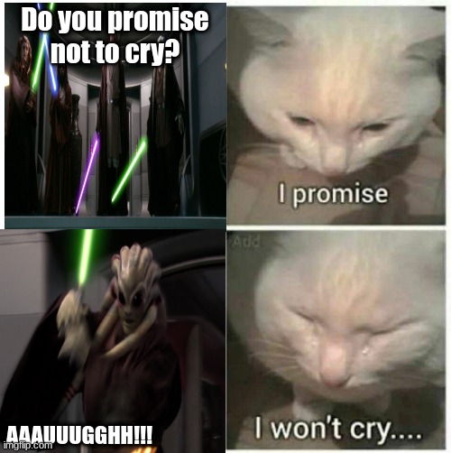 Do you promise not to cry? AAAUUUGGHH!!! | image tagged in i promise,kit fisto | made w/ Imgflip meme maker