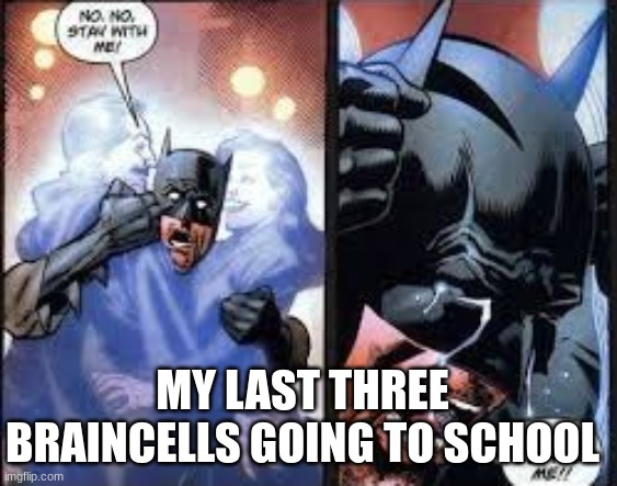 No no stay with me | MY LAST THREE BRAINCELLS GOING TO SCHOOL | image tagged in no no stay with me | made w/ Imgflip meme maker